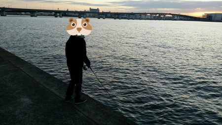 息子とその友達たちと朝マズメ釣行。今日も活況でした。